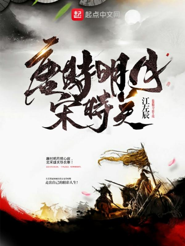 这大宋有点怪