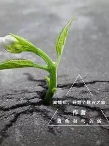 海贼王开局获得幻兽种