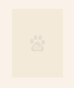 万族入侵开局选择地府